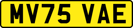 MV75VAE