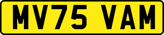 MV75VAM