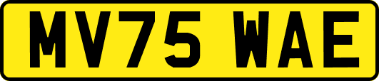 MV75WAE
