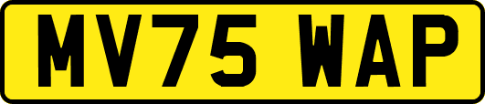 MV75WAP