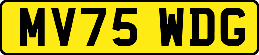 MV75WDG