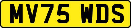 MV75WDS