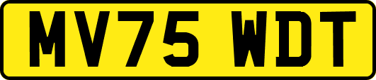 MV75WDT