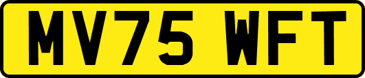 MV75WFT