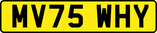 MV75WHY