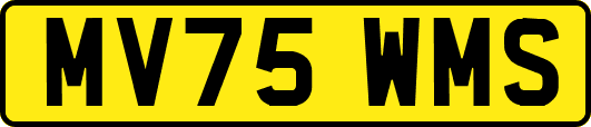 MV75WMS