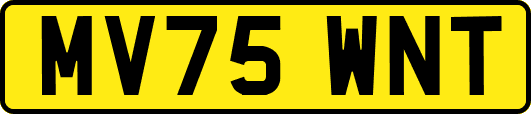 MV75WNT