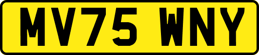 MV75WNY