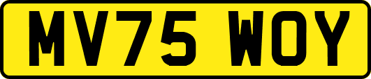 MV75WOY