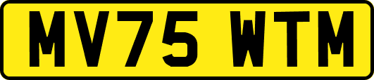 MV75WTM
