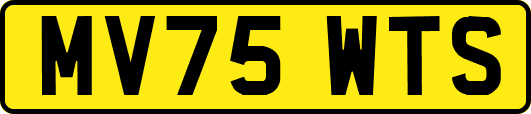 MV75WTS