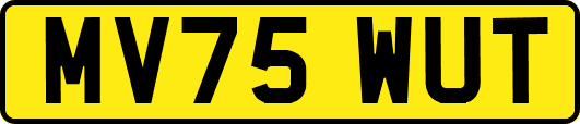 MV75WUT
