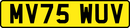 MV75WUV