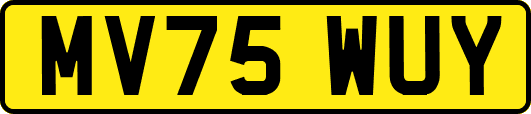 MV75WUY
