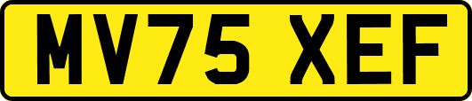 MV75XEF