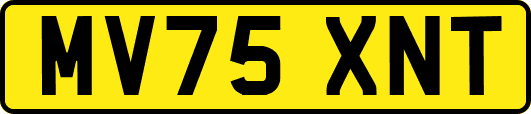 MV75XNT