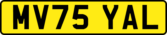 MV75YAL