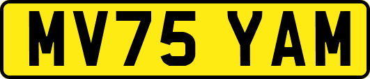 MV75YAM