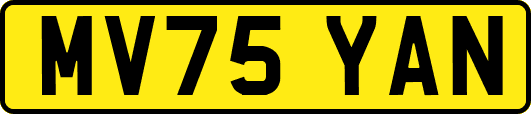 MV75YAN