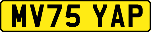 MV75YAP