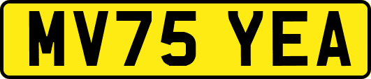 MV75YEA