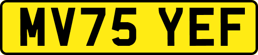 MV75YEF