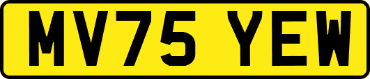 MV75YEW