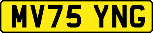 MV75YNG