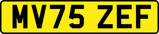 MV75ZEF
