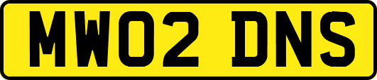 MW02DNS