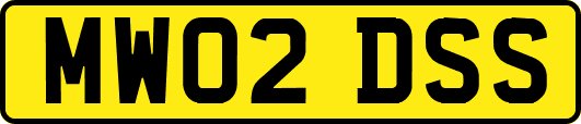 MW02DSS