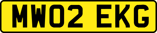 MW02EKG