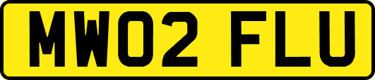 MW02FLU