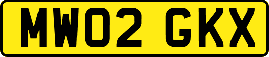 MW02GKX