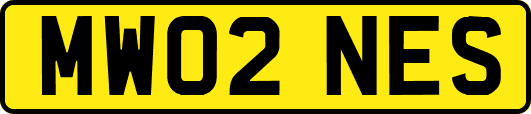 MW02NES