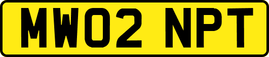 MW02NPT