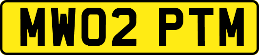MW02PTM