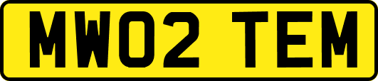 MW02TEM