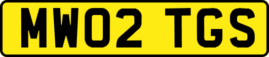 MW02TGS