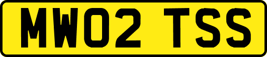 MW02TSS