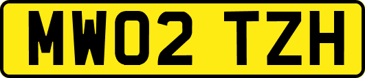 MW02TZH