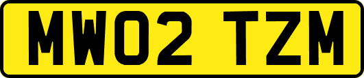 MW02TZM
