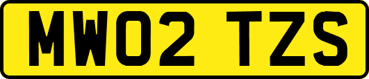 MW02TZS
