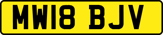 MW18BJV