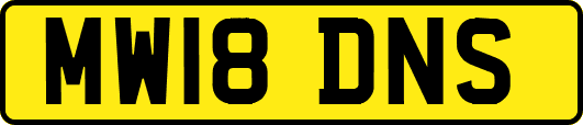 MW18DNS