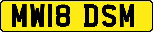 MW18DSM