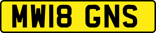 MW18GNS