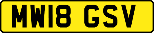 MW18GSV