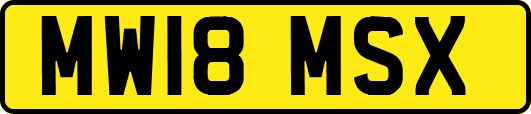 MW18MSX