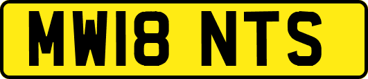 MW18NTS